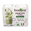 Matcha\u0020Latte\u0020mit\u0020Ginseng\u0020